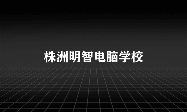 株洲明智电脑学校