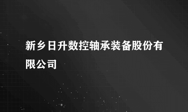 新乡日升数控轴承装备股份有限公司