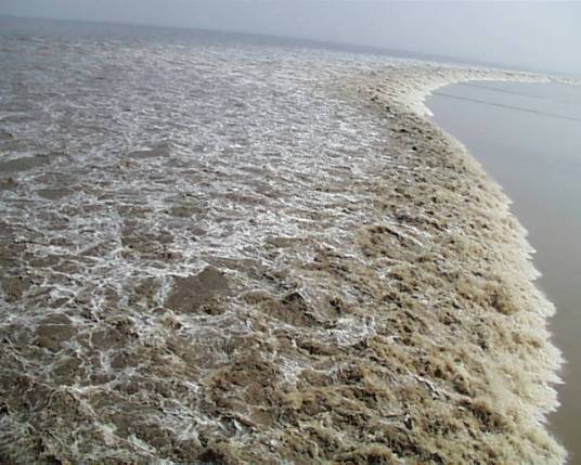 浙江潮（周密创作文章）