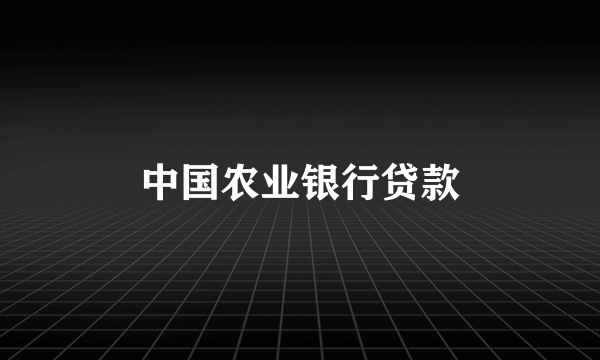 中国农业银行贷款