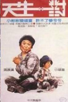 天生一对（1984年朱延平执导电影）