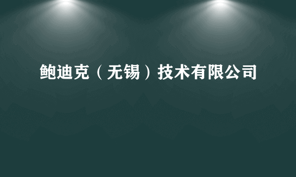 鲍迪克（无锡）技术有限公司