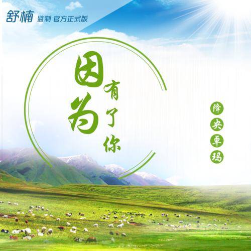 因为有了你（降央卓玛演唱歌曲）