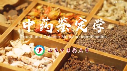 中药鉴定学（山东中医药大学建设的慕课）