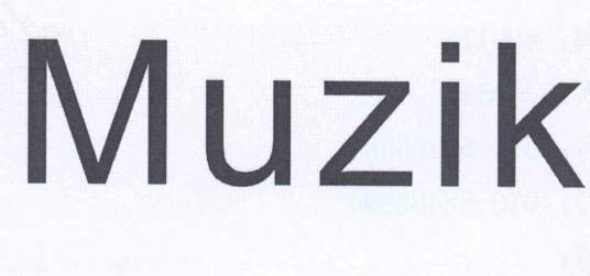 MUZIK（重庆眼镜品牌）