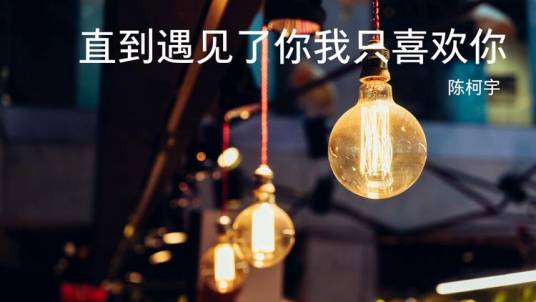 直到遇见了你我只喜欢你