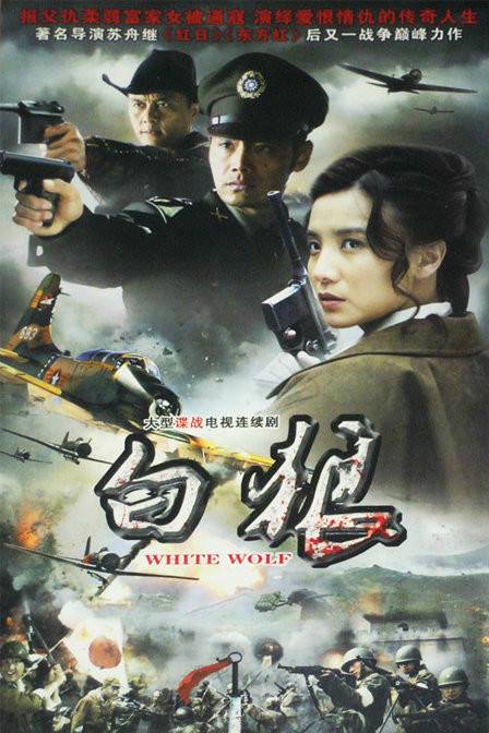 白狼（2010年小宋佳主演电视剧）