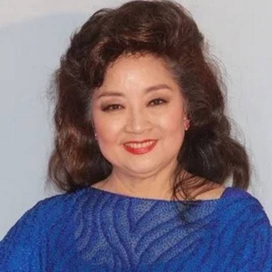 像雾又像花（徐小凤演唱的单曲）