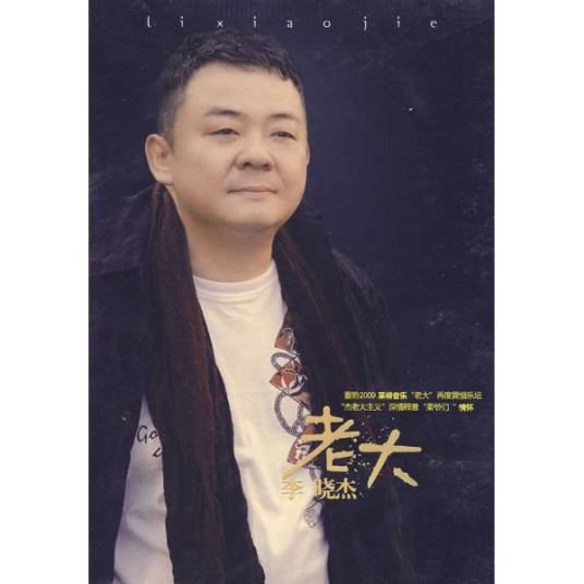 老大（2010年李晓杰演唱的歌曲）