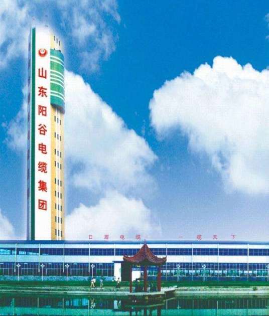 阳谷电缆集团