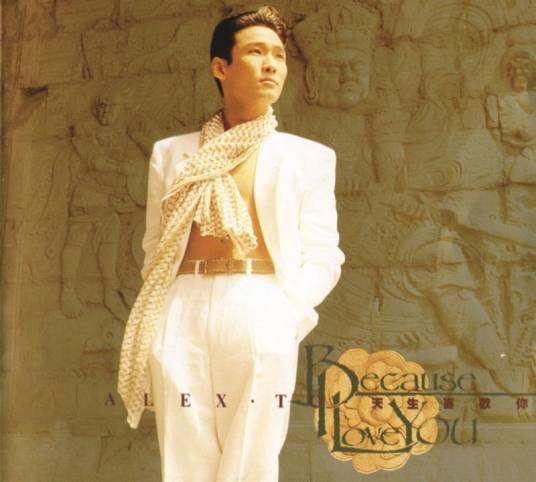 天生喜欢你（1991年杜德伟发行的专辑）