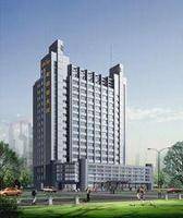 香港老爷车伟林国际有限公司