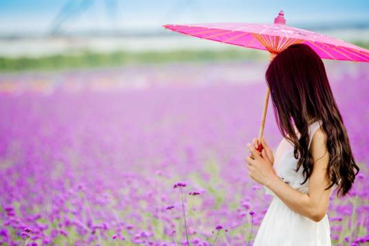 石家庄熏衣草庄园