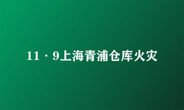 11·9上海青浦仓库火灾