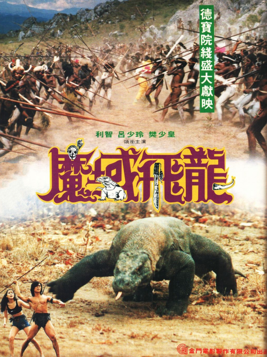 魔域飞龙（1991年唐季礼执导的动作电影）