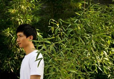 山楂花（2010年陈楚生演唱的歌曲）