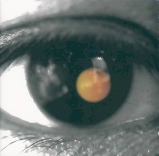 Angel（2002年陶喆演唱的歌曲）