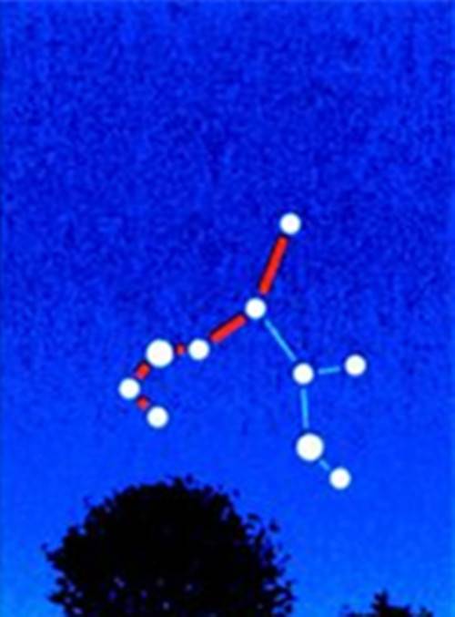 南斗星（星座）