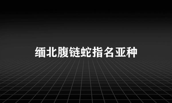 缅北腹链蛇指名亚种