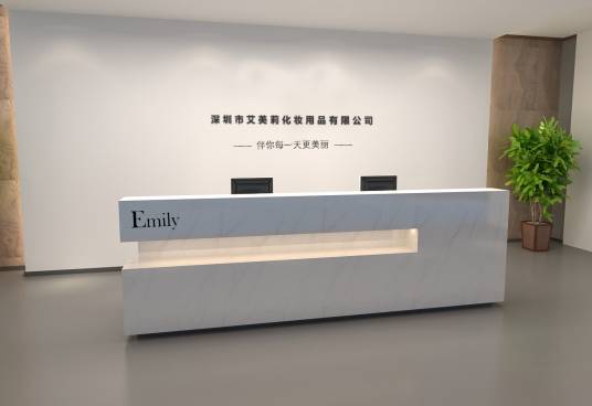 深圳市艾美莉化妆用品有限公司
