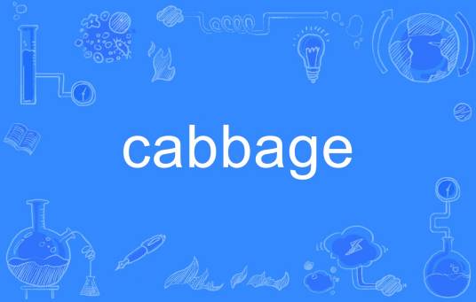 cabbage（英文单词）