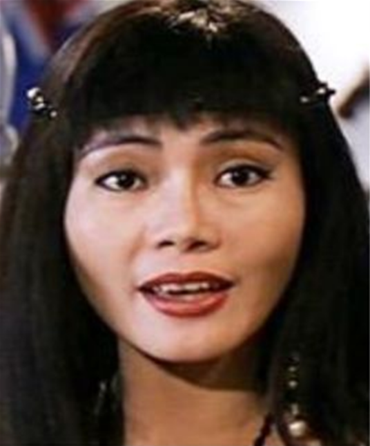 许晓丹（中国台湾女演员、人体模特儿、画家、服装设计师）