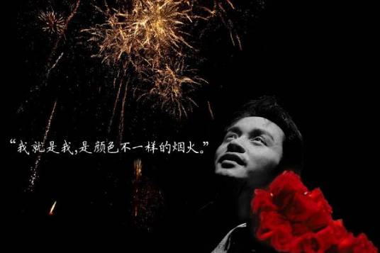 我就是我，是颜色不一样的烟火