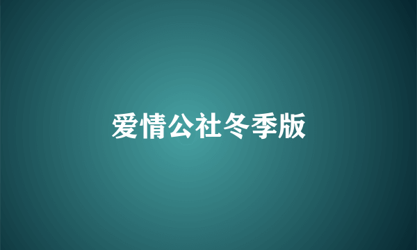 爱情公社冬季版