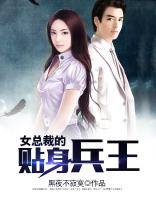 陆天龙（小说《女总裁的贴身兵王》中的男主角）