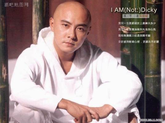 美丽的姑娘（张卫健演唱歌曲）