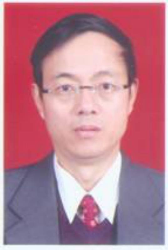 张胜涛（重庆大学博导）