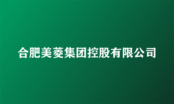 合肥美菱集团控股有限公司