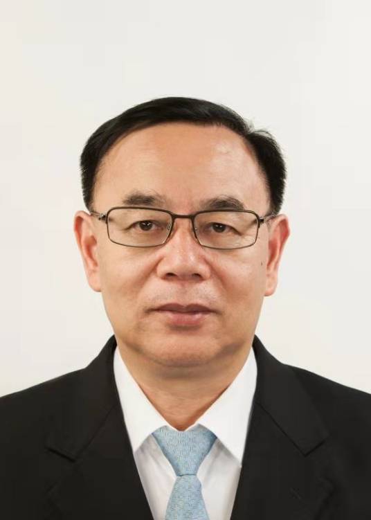 杨亚（国家电力投资集团副总经理、总会计师）