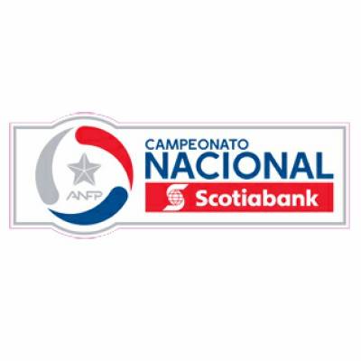 智利足球甲级联赛