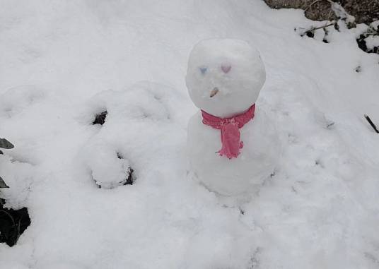 雪人（汉语词汇）
