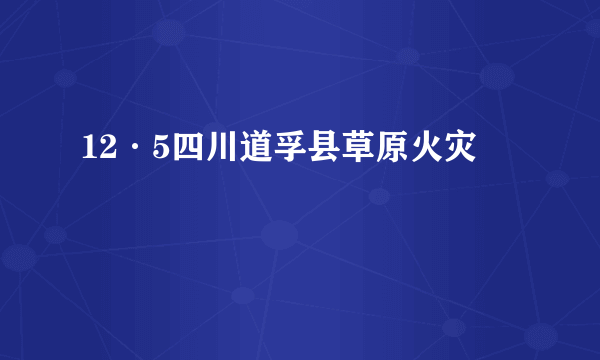 12·5四川道孚县草原火灾