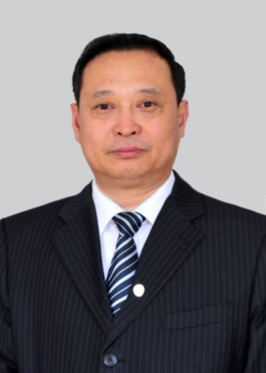 李振阳（鸡西市第十一届政协委员）