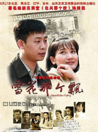 雪花那个飘（2011年张译、潘雨辰主演的知青题材电视剧）