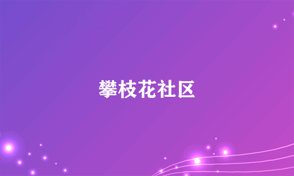 攀枝花社区