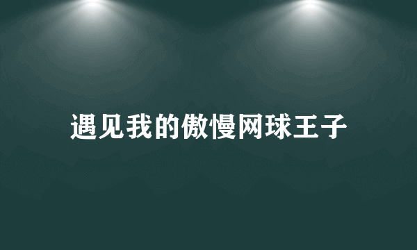 遇见我的傲慢网球王子