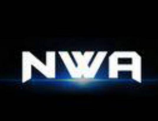 NWA（2013年成立于杭州的公司）