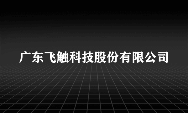 广东飞触科技股份有限公司