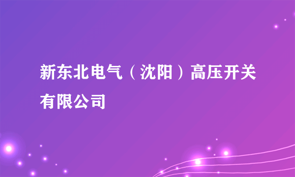 新东北电气（沈阳）高压开关有限公司