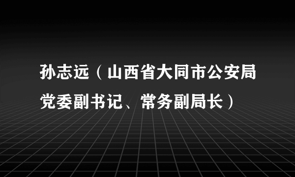 孙志远（山西省大同市公安局党委副书记、常务副局长）