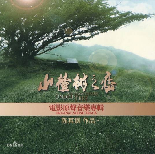 山楂树（2010年常石磊演唱的歌曲）