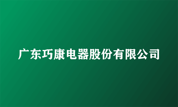 广东巧康电器股份有限公司