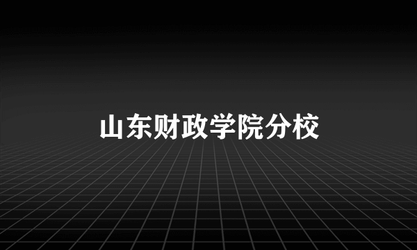 山东财政学院分校