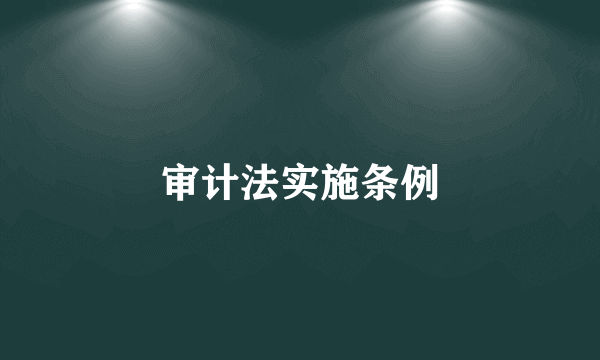 审计法实施条例