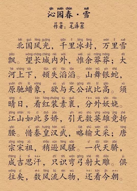 沁园春·雪（毛泽东创作的词）