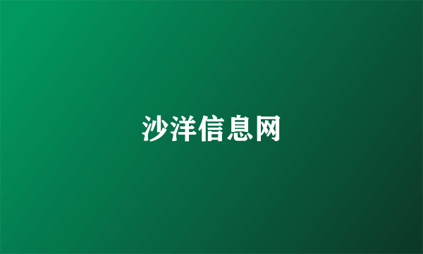沙洋信息网